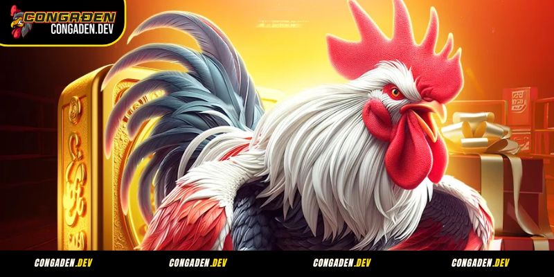 Chính sách khuyến mãi và ưu đãi tại Congaden